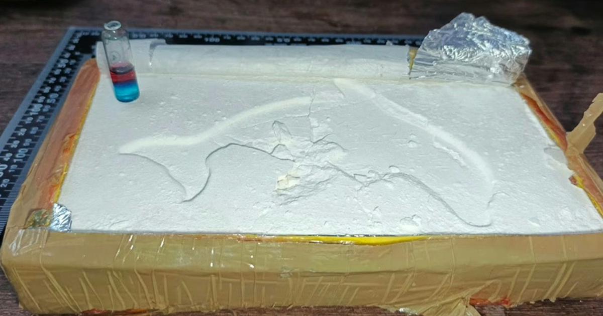 Salioacute de Jujuy con maacutes de 65 kilos de cocaiacutena