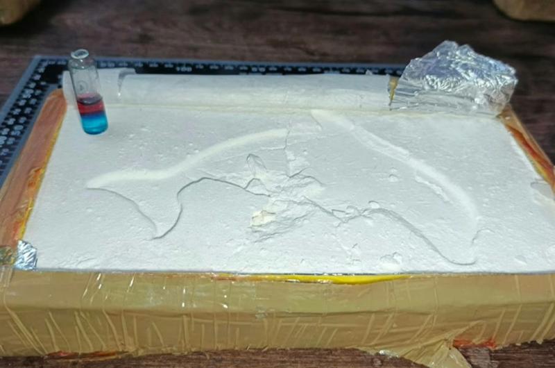 Salioacute de Jujuy con maacutes de 65 kilos de cocaiacutena