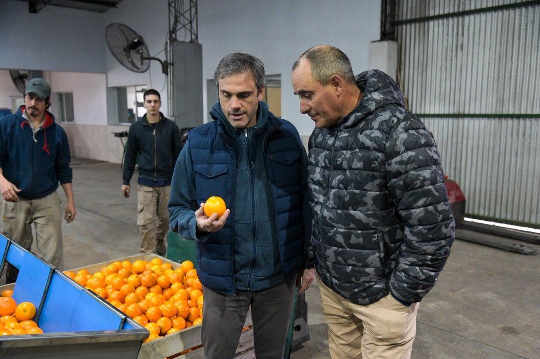 Ciacutetricos argentinos- piden abrir el mercado de Estados Unidos