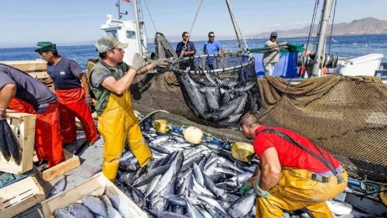 La industria pesquera cayoacute 172-en-porciento- en agosto en medio de un escenario irregular