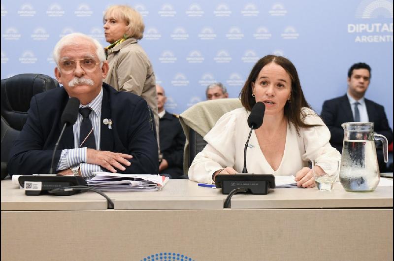 Ibarzabal Murphy rechazoacute que con la nueva ley haya una amnistiacutea para las empresas que operan en Malvinas