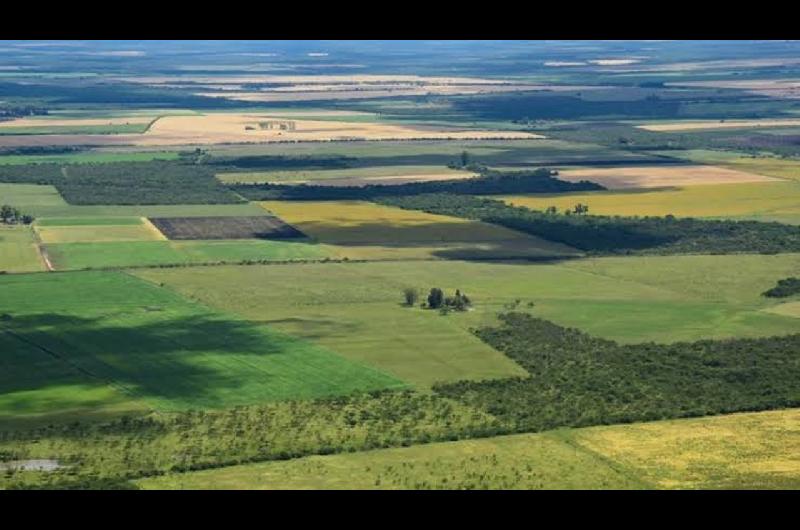 Defensoriacutea bonaerense logroacute una cautelar por la informacioacuten sobre tierras rurales