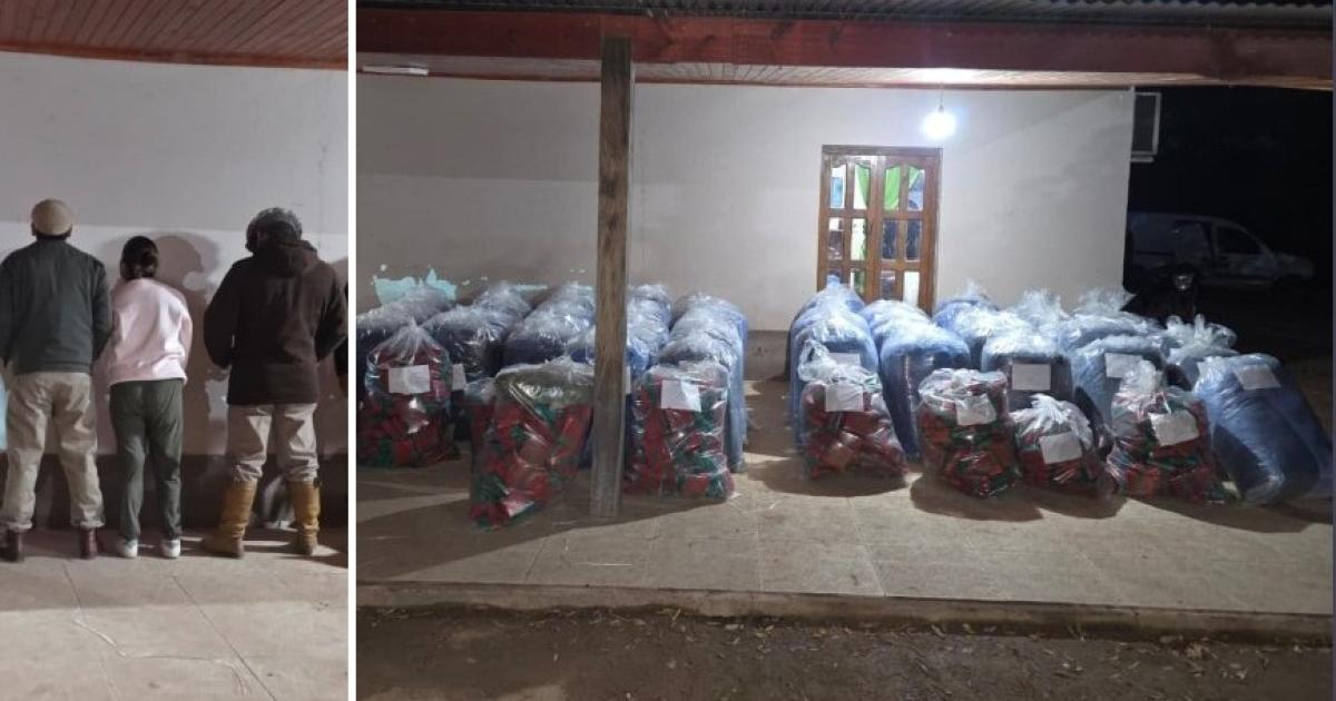 Incautaron 14 tonelada de hojas de coca y detienen a periquentildeos