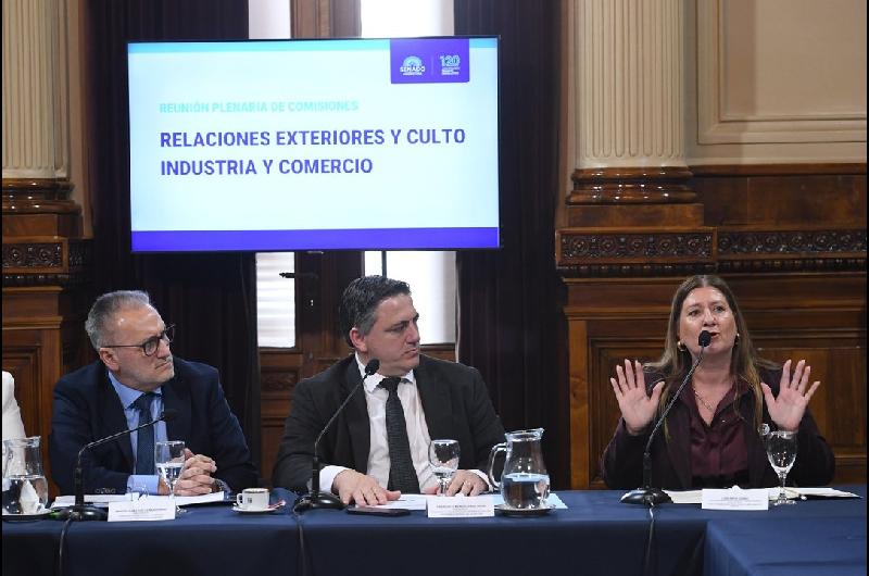 Senado dictaminoacute ratificar el Tratado de Patentes pero con reservas para proteger a la industria farmaceacuteutica