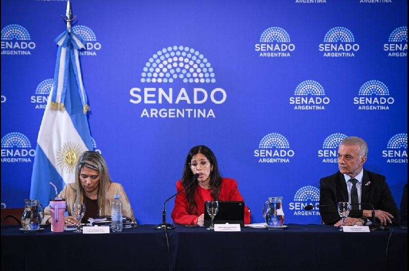 Senado- se avanza con la reforma de la Ley de Salud Mental- habilitan internaciones involuntarias y suman adicciones