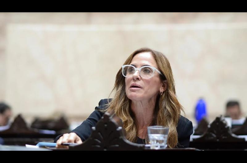 Tolosa Paz sobre el proyecto de Discapacidad- ldquoLogramos corregir un dictamen que estaba incompletordquo