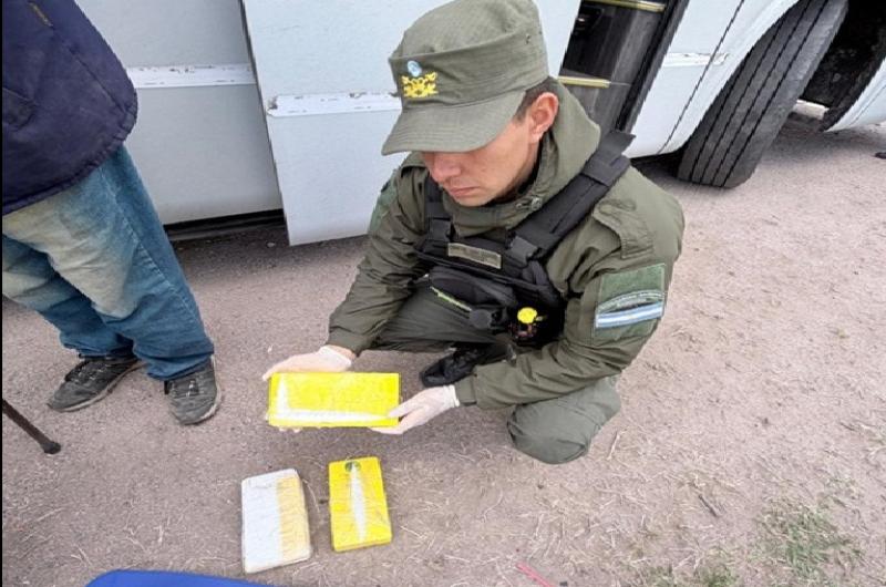 Incautaron maacutes de 3 kilos de cocaiacutena en un oacutemnibus que partioacute desde Jujuy 