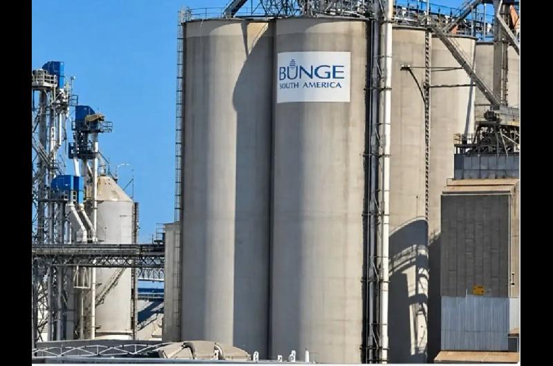 Gigante del agro dejaraacute de producir compuestos quiacutemicos y echa a 110 personas