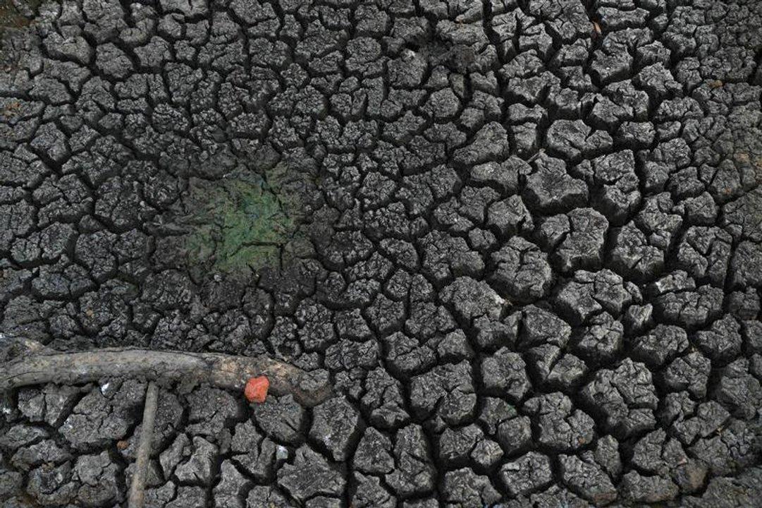 El Nintildeo golpea con sequiacutea a seis departamentos de Bolivia