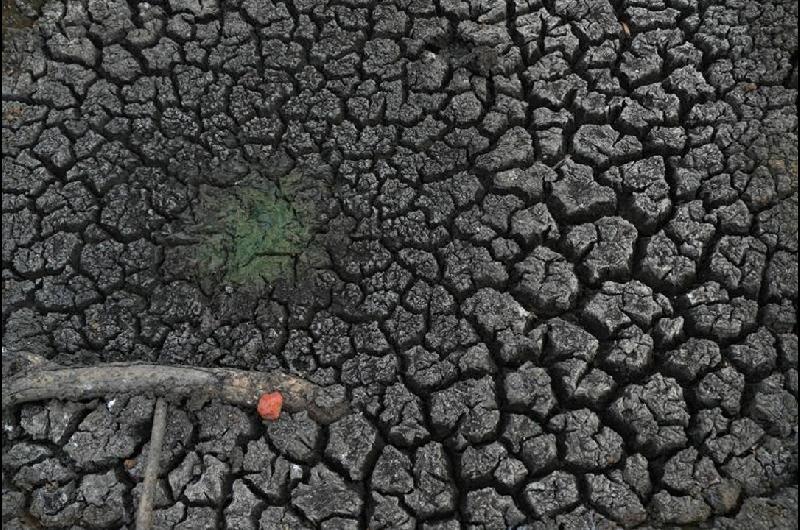 El Nintildeo golpea con sequiacutea a seis departamentos de Bolivia