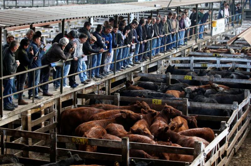Tras 122 años de actividad, cerró sus puertas el Mercado de Hacienda de Liniers
