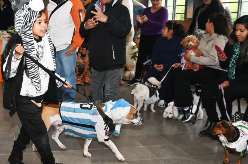 Destacan adhesión de los vecinos de la ciudad a la Semana del Animal