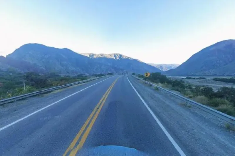 Una camioneta embistió una tropilla de animales a la altura de Tumbaya Grande