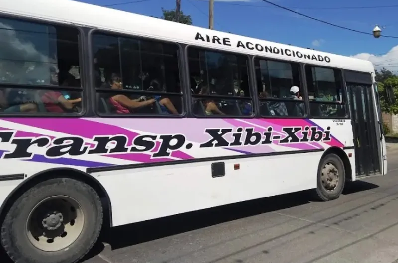 Polémica licitación del transporte: incertidumbre y reclamo en la empresa Xibi Xibi