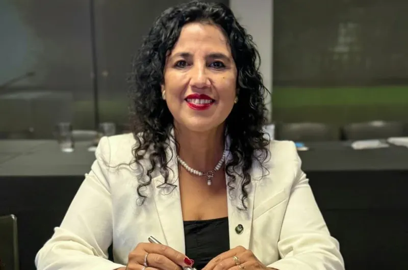 Funcionarios provinciales presentaron informes científicos sobre desarrollo minero