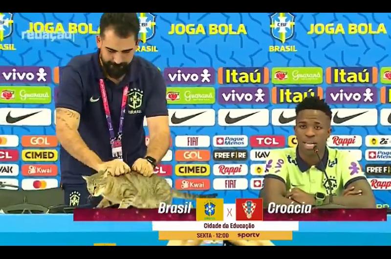 La maldición del gato volvió a golpear a Brasil tras otro fracaso histórico
