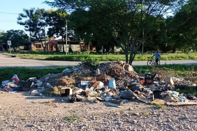 Compromiso ciudadano: ya se recibieron treinta denuncias por delitos ambientales