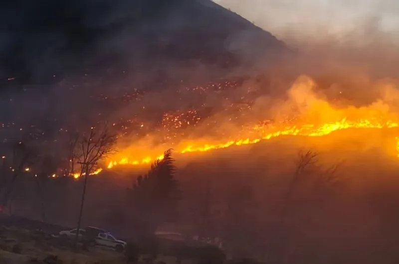 Voraz incendio forestal en Volcán mantiene en vilo a su población